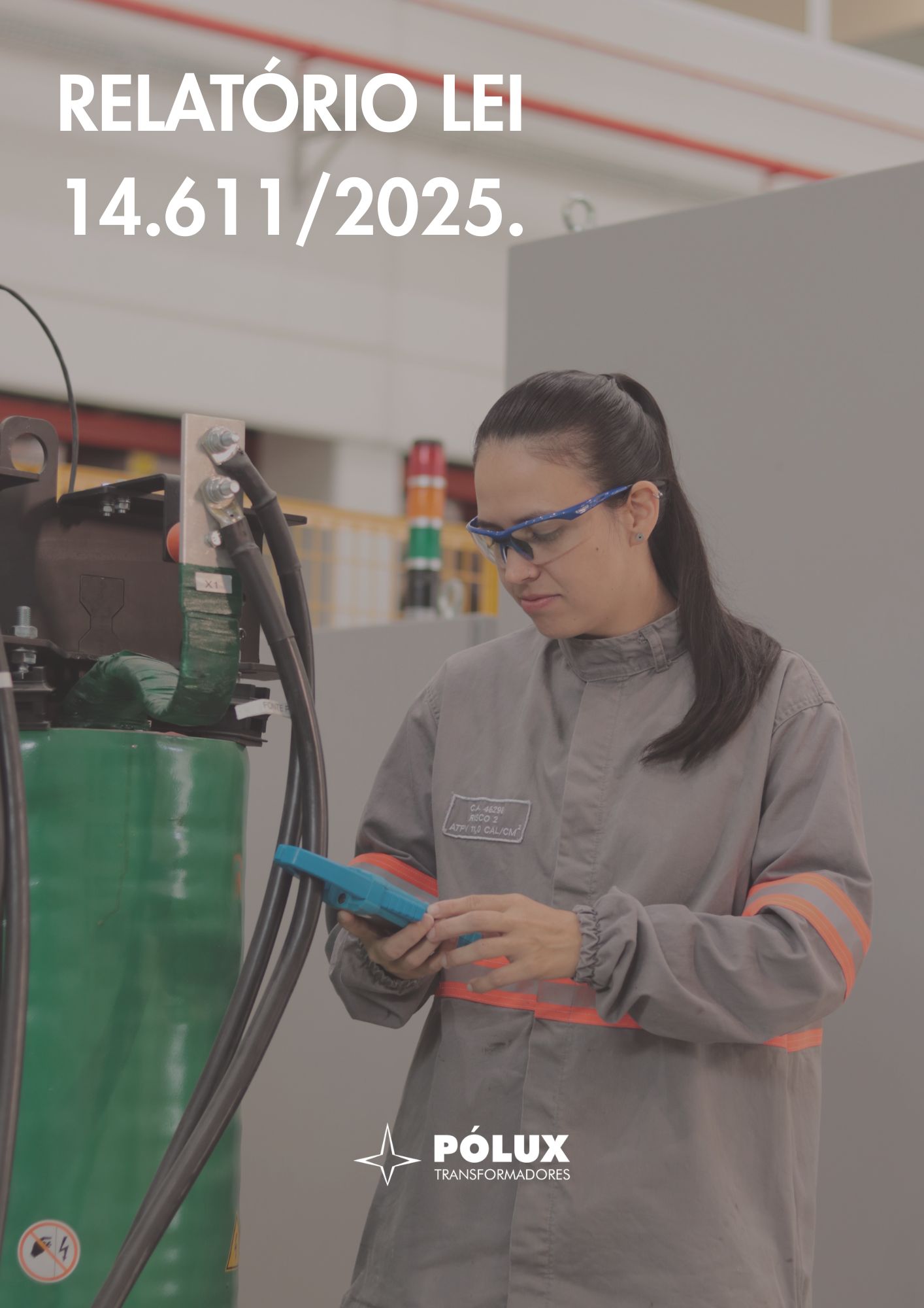 Relatório Lei 14.611. 2025