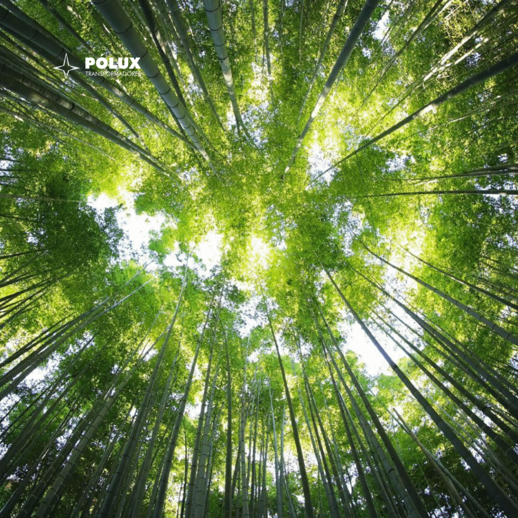 Como os transformadores a seco impactam a sustentabilidade dos Data Centers